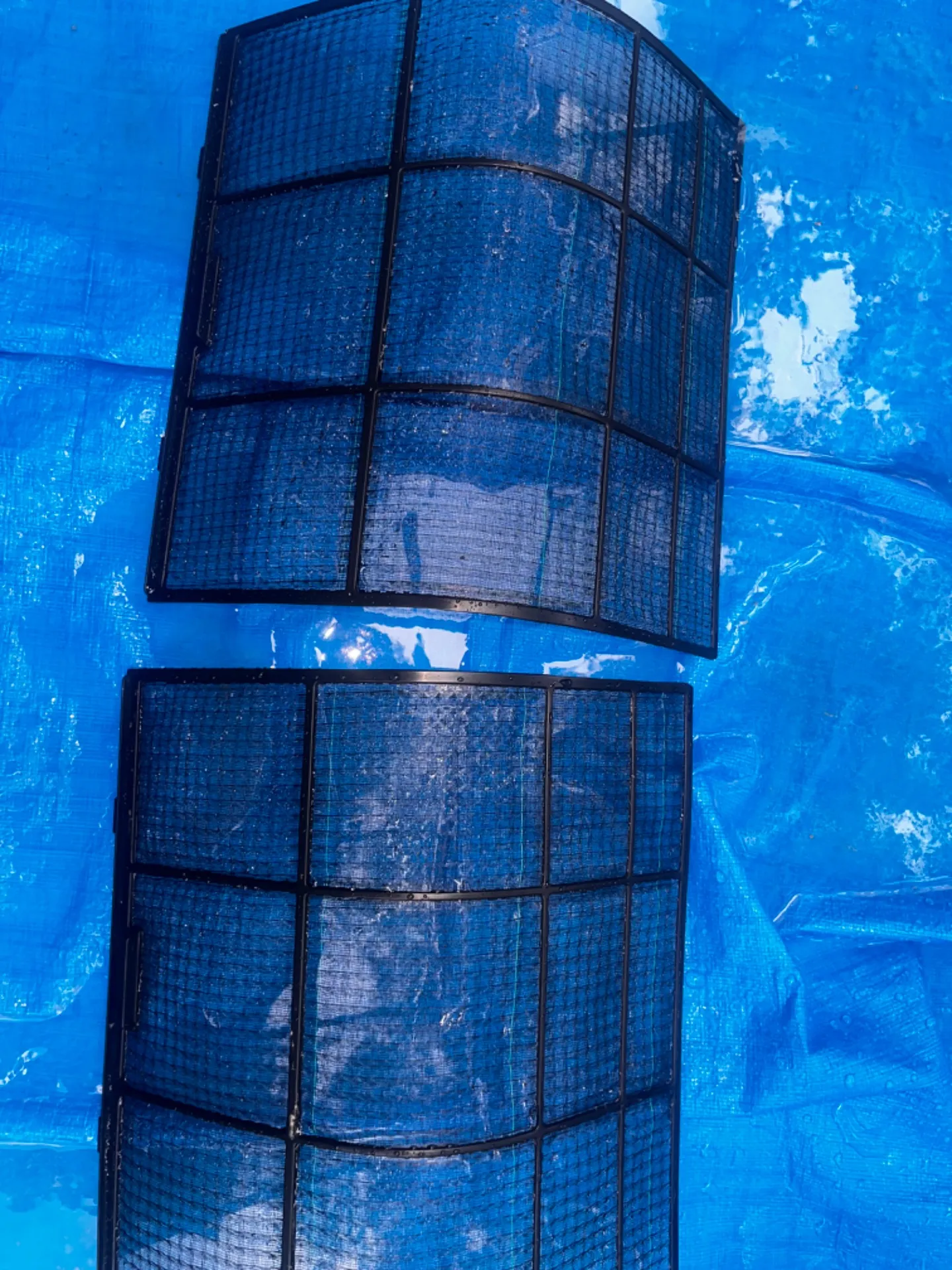 綺麗ですねぇ✨